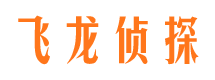 八公山市侦探公司